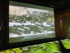 -中国湿地博物馆