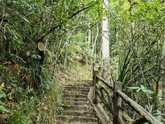 -海南热带雨林国家公园吊罗山景区
