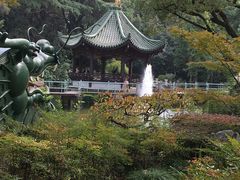 丁香花园-申粤轩酒楼·三十年粤菜经典(丁香花园店)