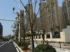 -牛岗山公园