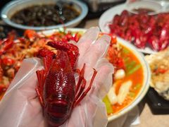 -红盔甲·小龙虾(人民广场店)
