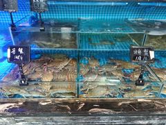 -渔民船说·北塘海鲜·天津菜·海肠捞饭(北塘古镇店)
