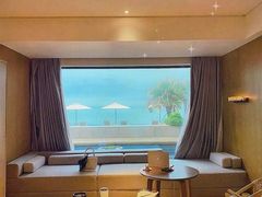 -广东惠东海龟国家级自然保护区