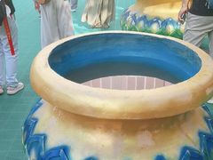 -西双版纳原始森林公园