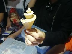 -贝壳王国博物馆