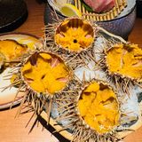 吃到扶墙出的日料放题[馋]