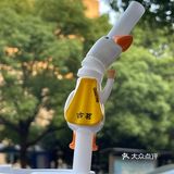 感谢大数据种🌿，这个大鹅真吸管我真的眼红很久了🥰
