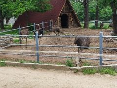 -西安秦岭野生动物园