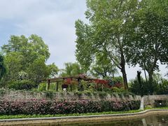 -西安市长乐公园