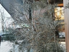 -Marina厨房·ALA精酿(月湖盛园店)