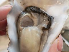 -Oyster Talks 四度蚝法餐厅