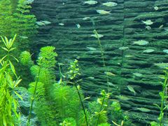 -上海海洋水族馆