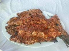 烤虹鳟鱼-何适山庄 ·可团建(水长城P2停车场店)