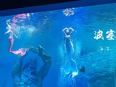 -哈尔滨波塞冬海底世界