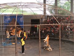 -石家庄市动物园