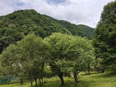 -大水川景区