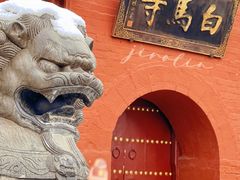 -洛阳白马寺