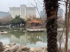 -西苑公园