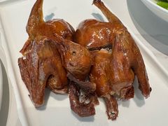 -琬苑鸽庄·川粤融合菜(解放碑总店)