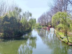 -溱湖国家湿地公园