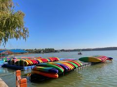 -上海海湾国家森林公园