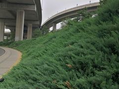 景点-石榴庄公园