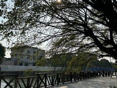 -赤坎·广东华侨国际旅游度假区