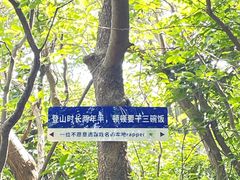 -紫金山山顶公园