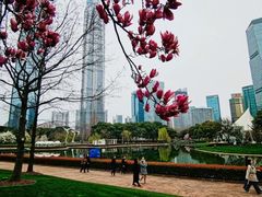 -陆家嘴中心绿地