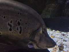 -多彩贵州城极地海洋世界