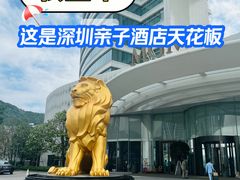 -深圳美高梅酒店·意烁FIAMMA·地中海餐厅
