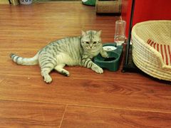-H立方实景剧情密室(天河旗舰店)