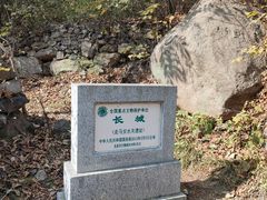 -云岫谷游猎自然风景区