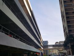 -结霜桥叻沙