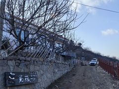 -荒度咖啡(北九水店)