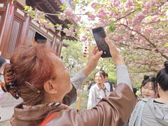 -上海青龙寺