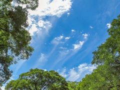 -延安杨家岭革命旧址