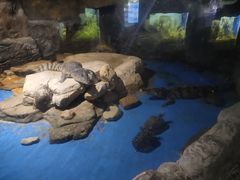 -多彩贵州城极地海洋世界