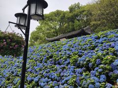 -苏州上方山国家森林公园