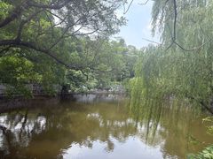 -柳侯公园