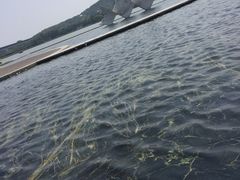 -上海月湖雕塑公园