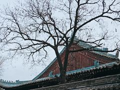-西安化觉巷清真大寺