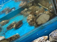 -双福水果批发市场