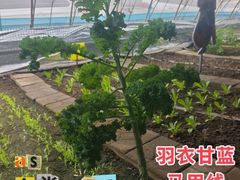 -北戴河集发农业梦想王国