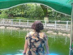 -莲湖公园
