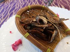 -欢乐海岸美食联盟