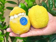 -CREAM STORY意大利手工冰淇淋&甜品(万象前海店)
