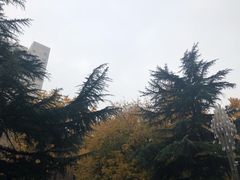 -山东省立医院(中心院区)