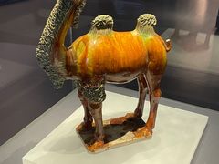 -贵州省博物馆(新馆)