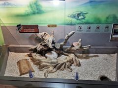 -昆明大悦城未来动物城(螺蛳湾中心店)